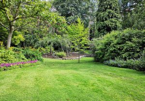 Optimiser l'expérience du jardin à Mazerat-Aurouze